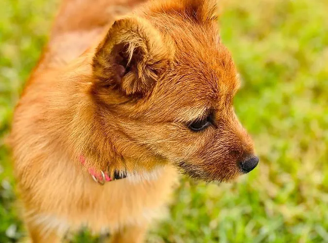 Ritual Sireno - Adults Only Hotel Torremolinos